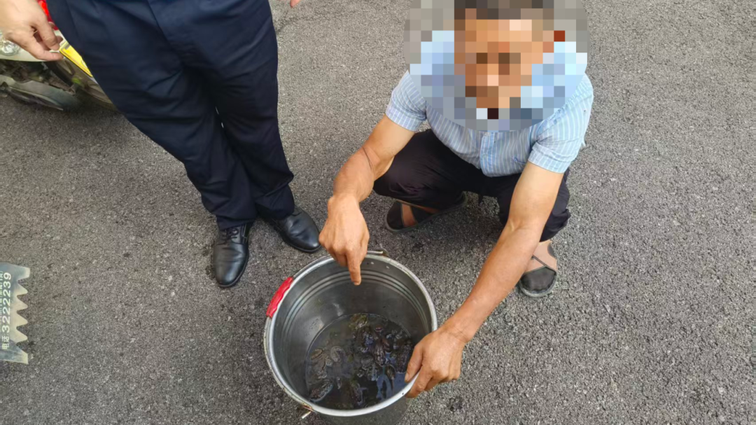 莫把“易危”当“野味”！慈利公安严打非法狩猎，嫌疑人落网