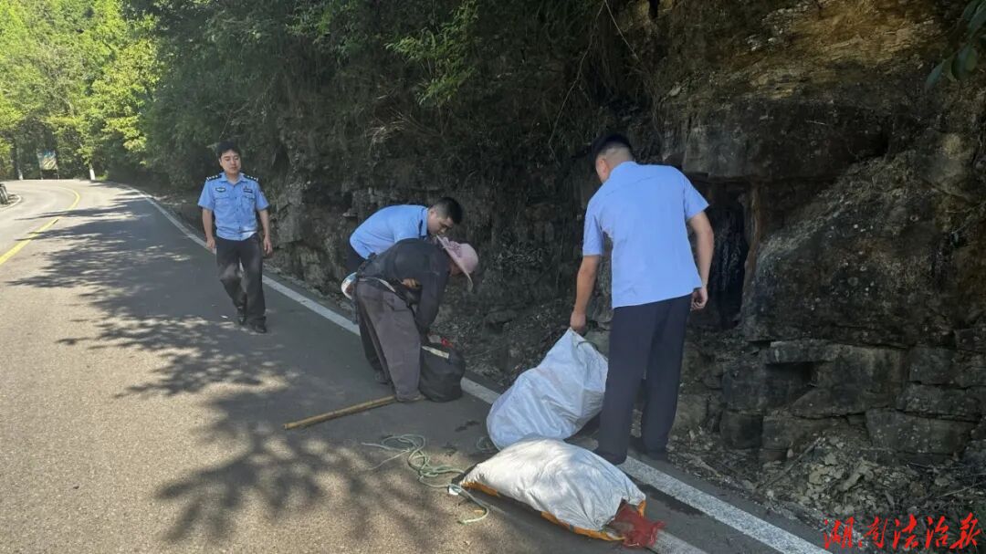 弯道有险，守护就在每一次驻足