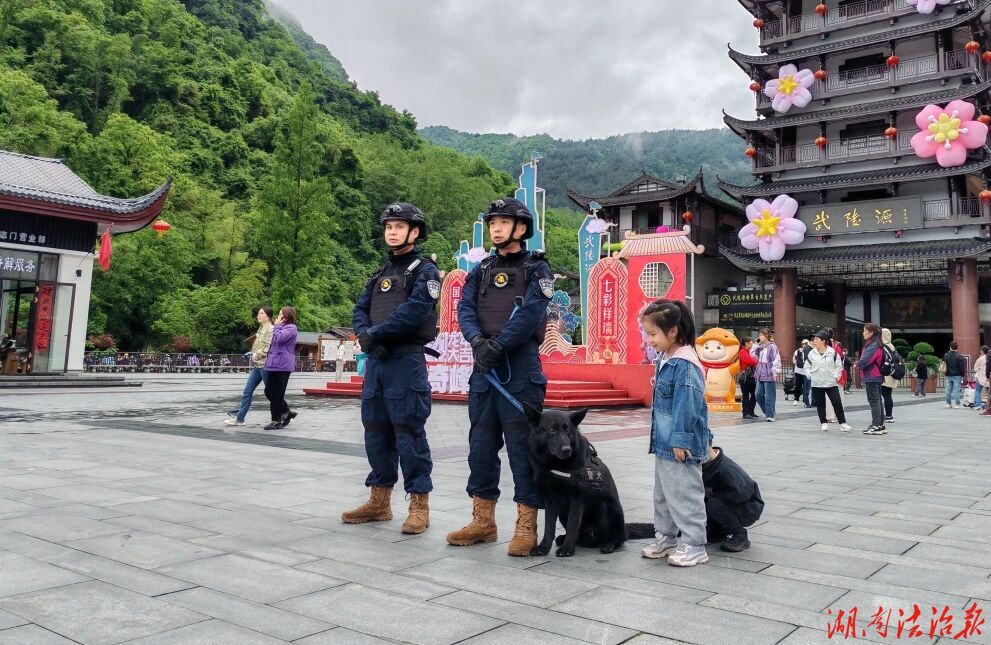 岁月无声，实干有痕：把忠诚写在警犬中队，把荣光带向崭新征程