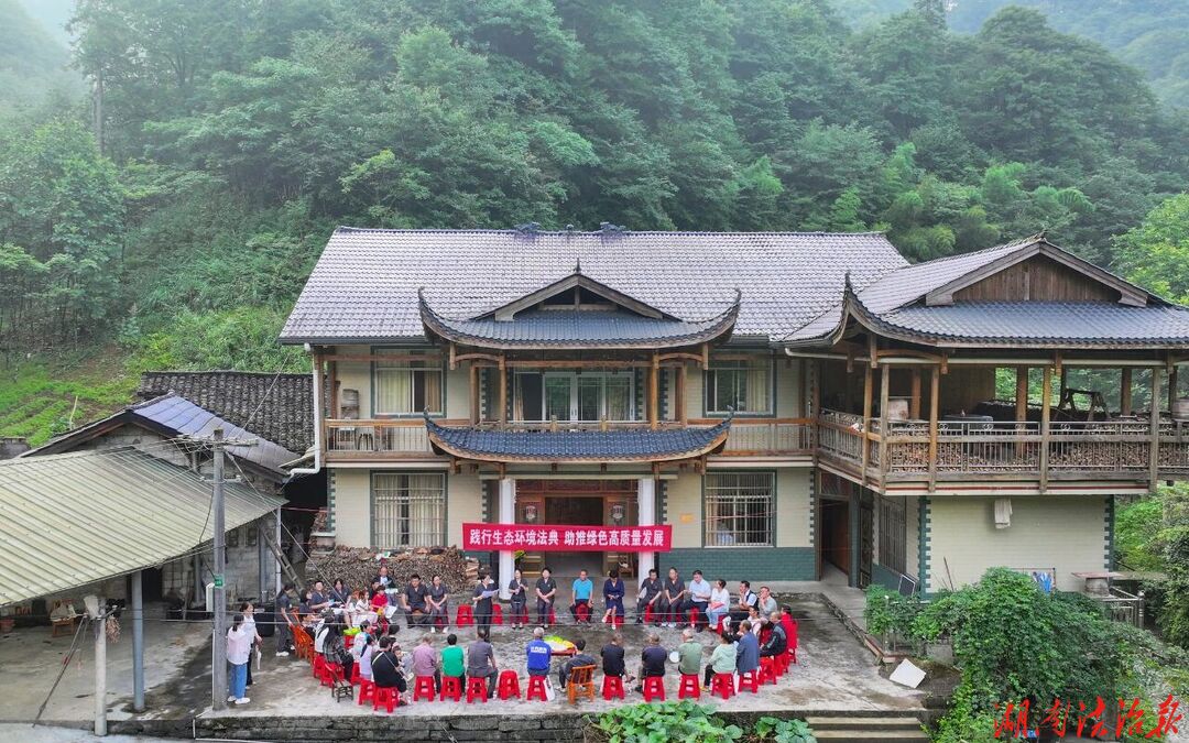 盛夏入林海  普法护青山——桑植县法院主题党日暨生态环境法典屋场会走进八大公山国家级自然保护区