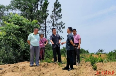 赓续“青山精神”血脉 绘就法治助农新“枫”景——临澧县人民法院四新岗法庭服务乡村振兴纪实