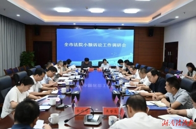 小额诉讼跑出“加速度”  株洲法院召开相关工作调研会