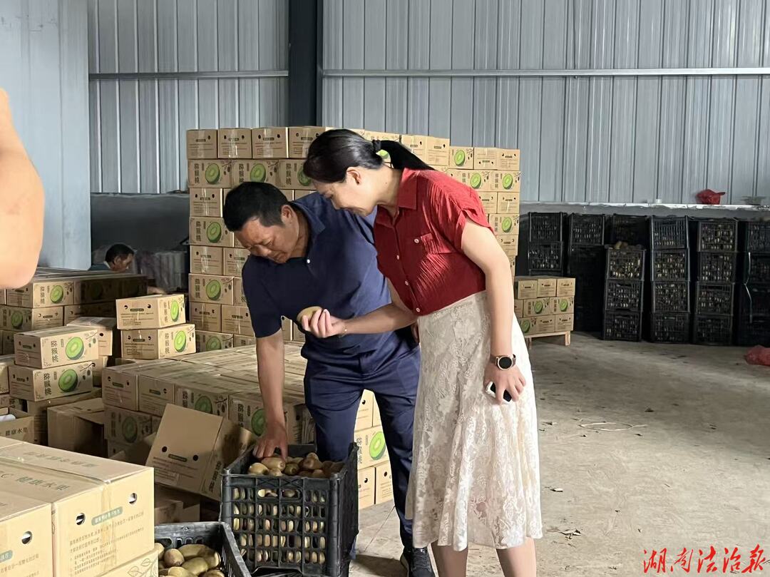 法治护航“黄金果”“绿宝石”——永顺法院走访省人大代表刘万云