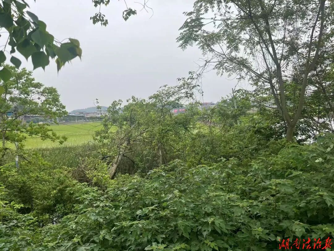 办好田间“水事”  畅通民生“农事”