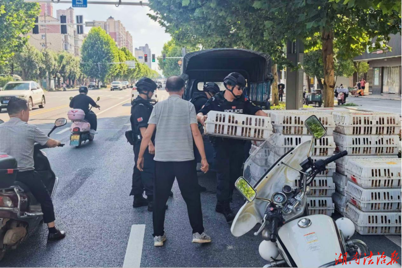 临澧公安：党徽耀警心 先锋护民安