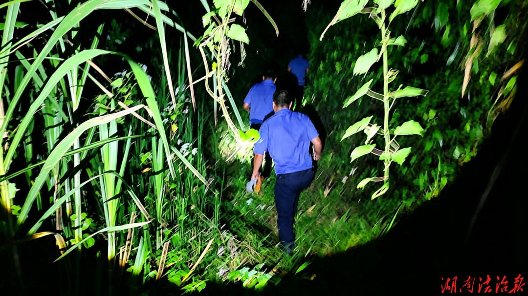 六人采菌深山迷路 泸溪公安6小时紧急救援