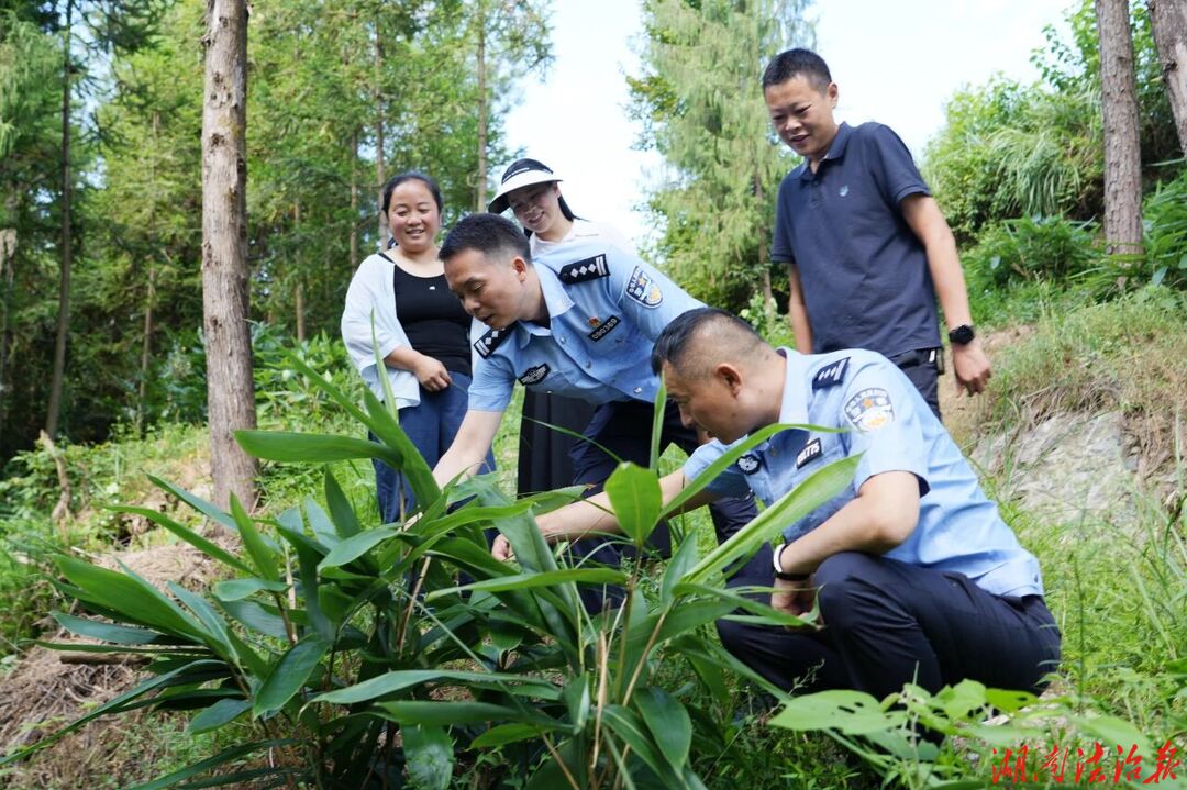 以常态化帮扶持续巩固拓展脱贫攻坚成果——桑植县公安局在三和村召开专题党委会