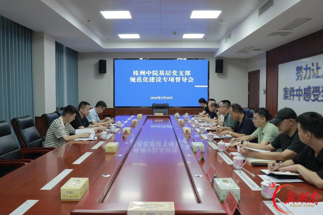 株洲中院专项督导攸县法院基层党支部规范化建设