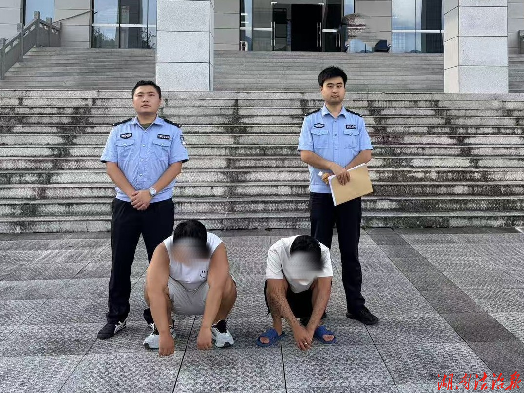 【强治理 护民安】龙山公安所队协同联动作战 成功打掉一微信跑分洗钱团伙