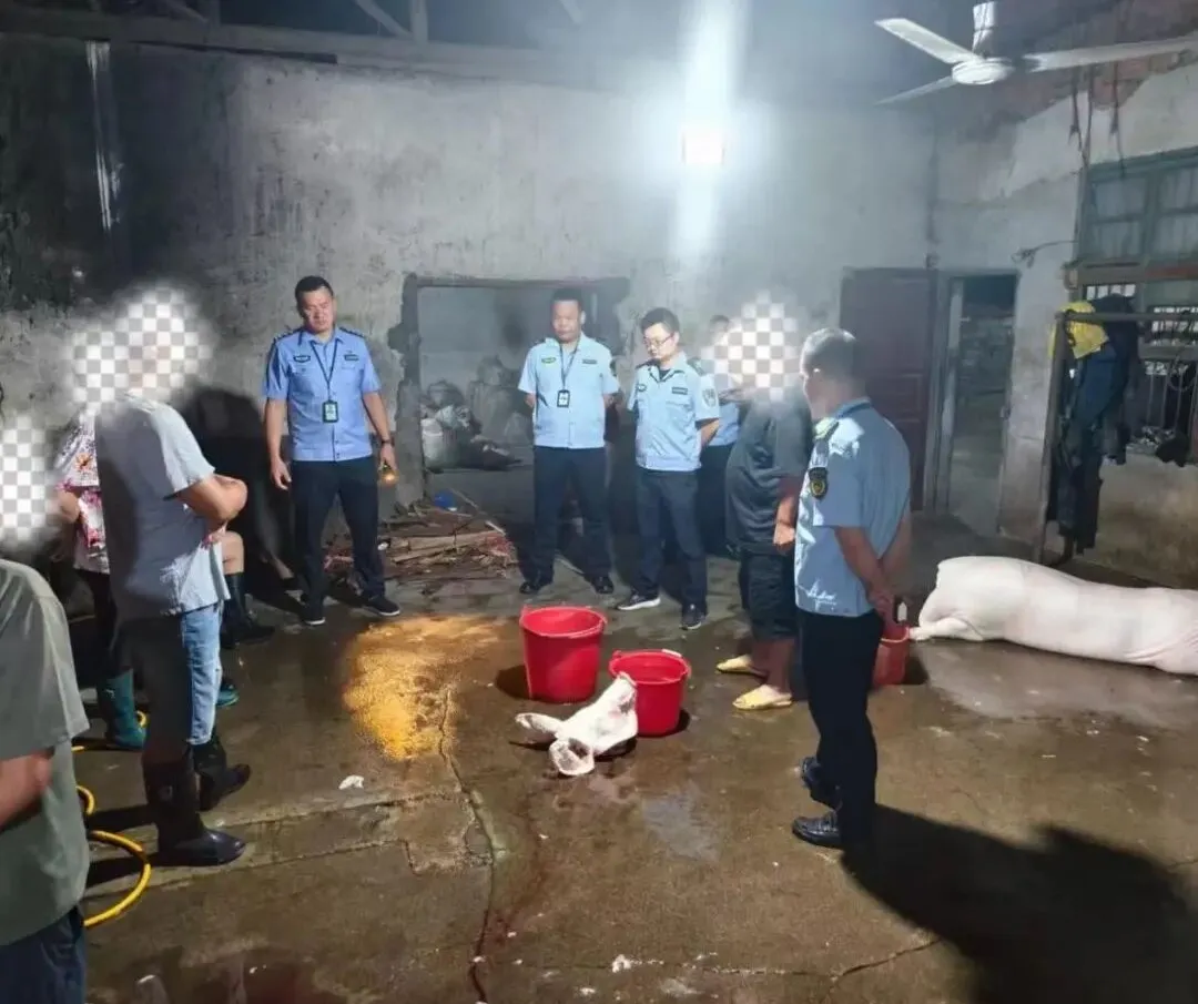 守护“舌尖上的安全”！沅江公安联合多部门出击，端掉两处私屠滥宰黑窝点