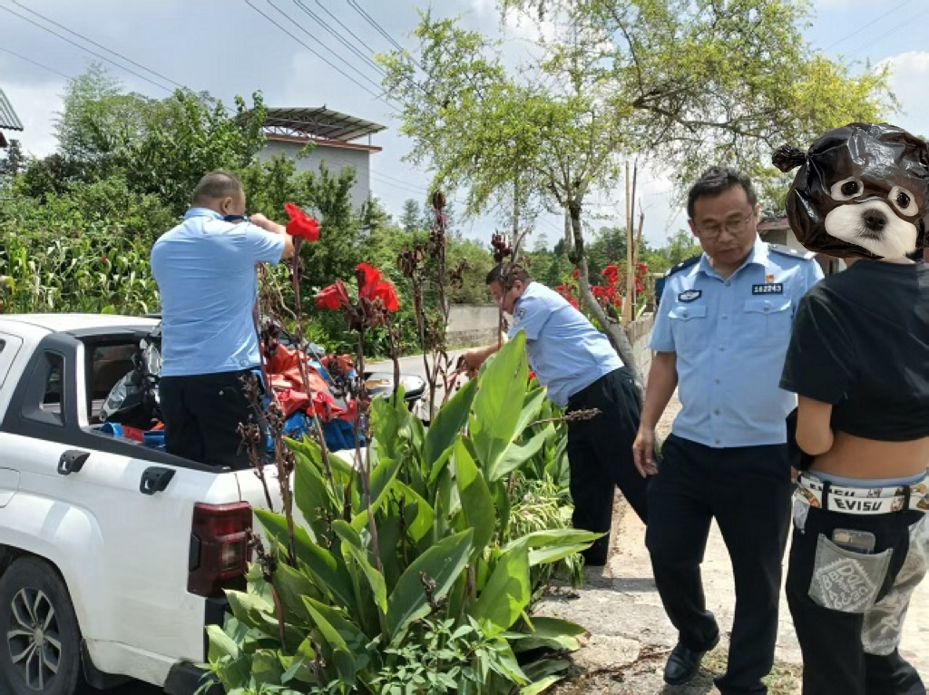 【强治理 护民安 促发展】联动出击！花垣公安成功抓获盗窃摩托车团伙