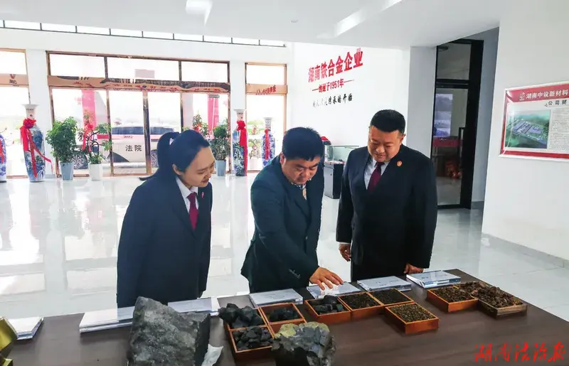 永州零陵珠山法庭 多元共治赋能城乡基层治理