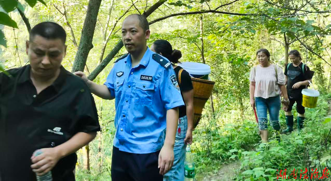【强治理 护民安】进山拾枞菌三人深山迷路 民警历经五小时搜救助平安下山