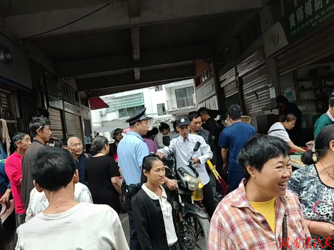 【强治理 护民安】龙山公安：藏蓝坚守护成长 乡村校园筑平安