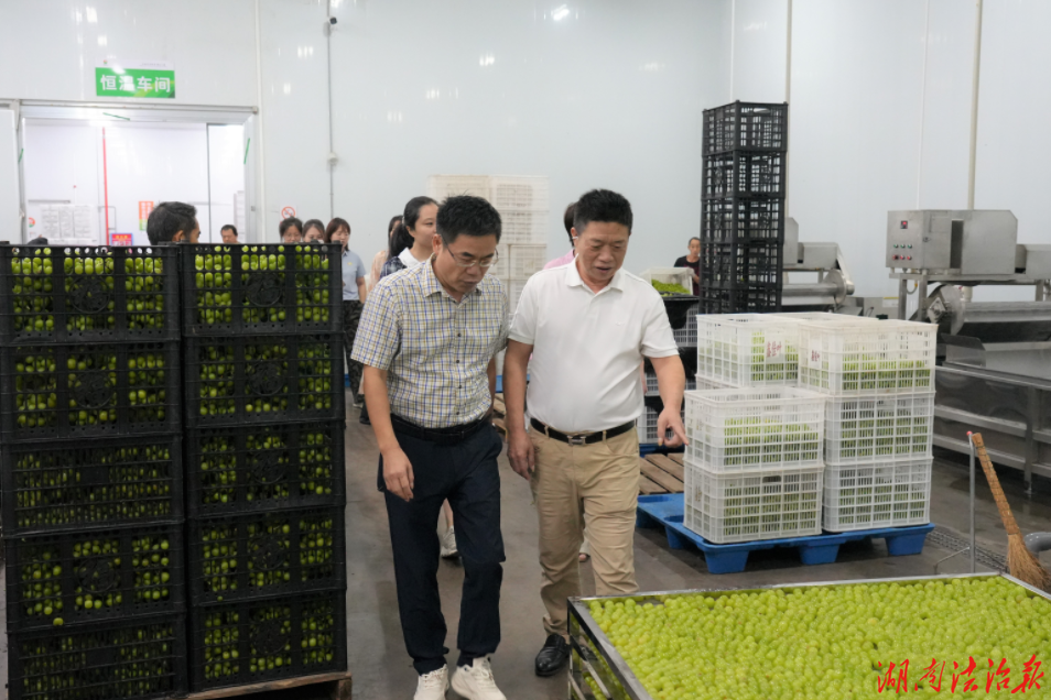 倾听民声促发展  问计问需护成长  ——澧县检察院检察长提名人选熊建军走访省人大代表