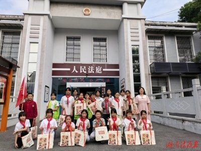 法庭开放日向孩子们播撒法治种子