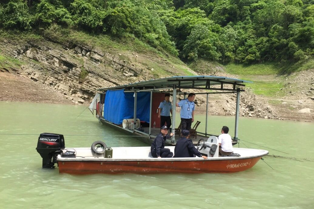 清除“拦河网” 护好澧水河｜桑植开展禁捕联合执法行动