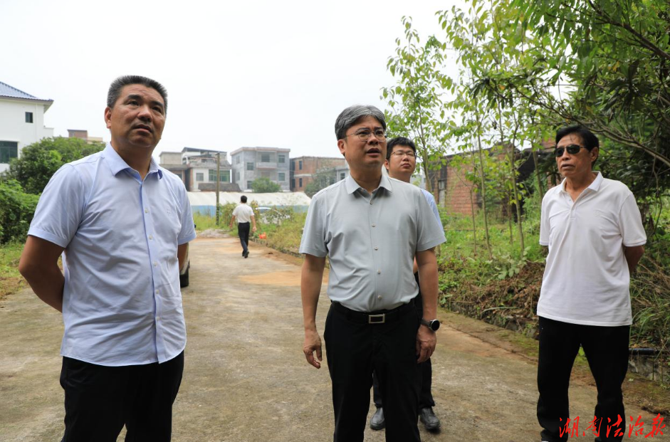 新田：陈雄调研溶洞污染问题专项整治工作