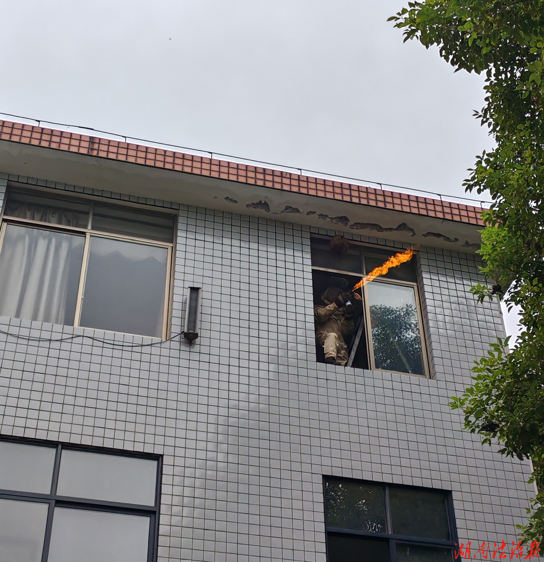 马蜂扰民藏隐患 北塔消防快速处置护平安