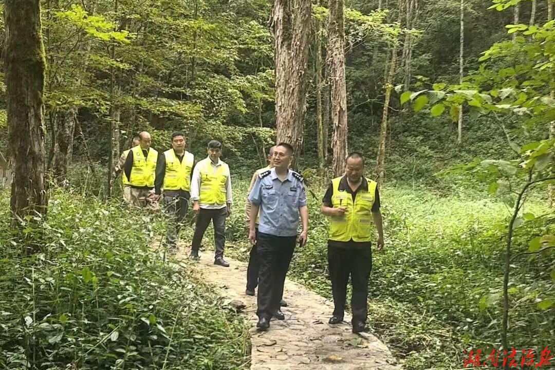 桑植县开展生态警务联勤巡查