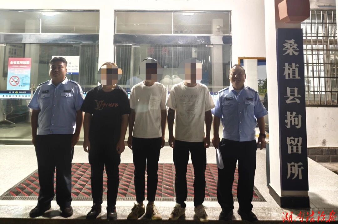 桑植公安破获一起“拉车门”盗窃案