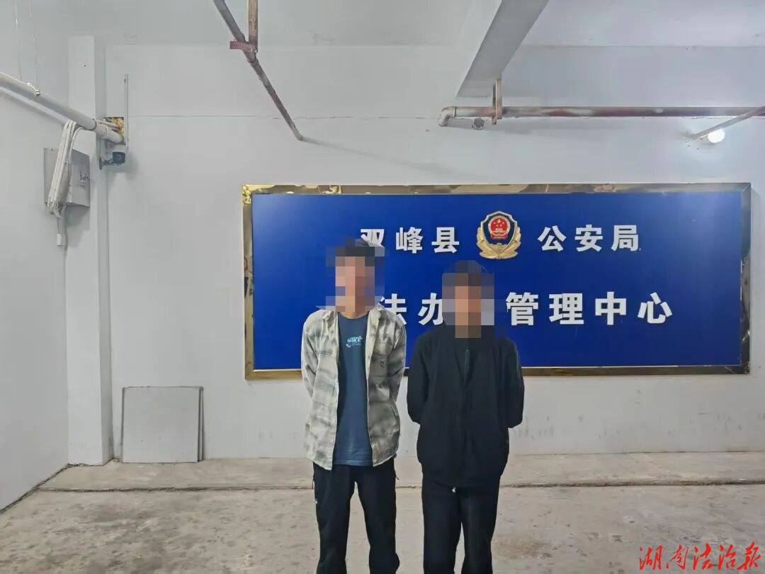 2小时擒贼！双峰公安石牛派出所速破家禽被盗案