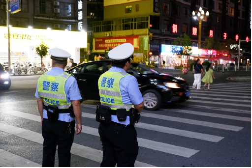 山河献礼，藏蓝为盾，通道公安坚守一线纪实