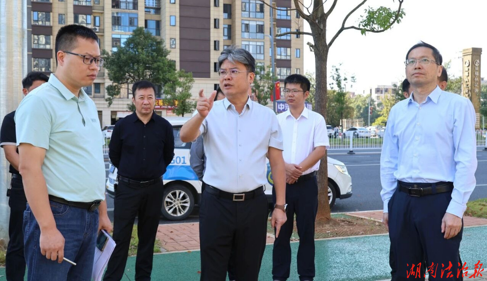 新田：陈雄调研园林绿化工作