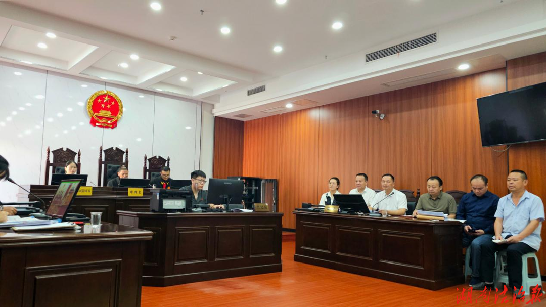 祁阳市人民政府市长向子顺出庭应诉 推动“出庭出声、实质解纷”