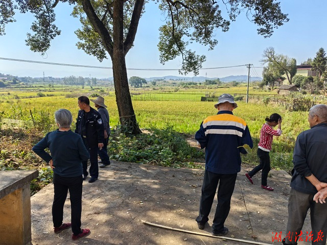 警民联动解民忧，守护邻里和谐风