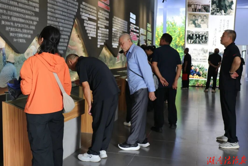 “九分甜”敬芳华，“九分力”启新程 ——道县人民法院开展重阳节主题秋游活动